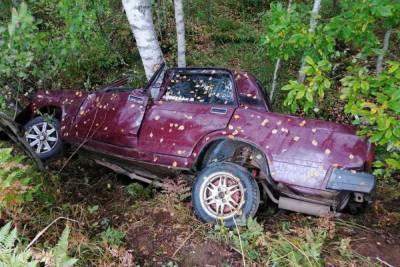 В Тверской области автомобиль съехал в кювет и врезался в дерево