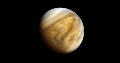 На Венере обнаружены признаки жизни