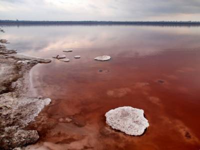 В Одесской области высыхает Куяльницкий лиман с целебными грязями