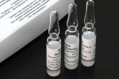 Центр «Вектор» планирует в ноябре выпустить первую партию вакцины от COVID