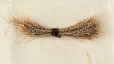 Прядь волос Авраама Линкольна продали на аукционе в США за $81 тысячу