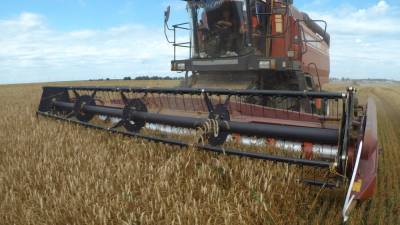 Хлеборобы убирают последние гектары зерновых