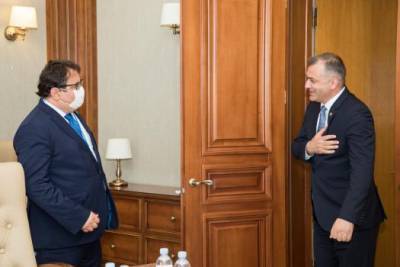Ион Кику встретился с главой представительства ЕС в Молдавии Петером Михалко