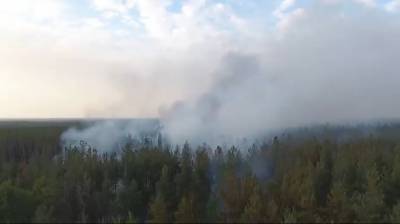 В Воронеже из-за опасности лесных пожаров дежурит вертолёт