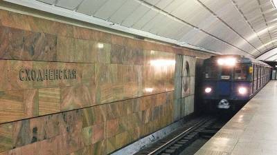 Москвич бросился на рельсы столичного метро ради спасения мыши