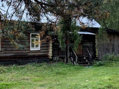 Деревню из фильма «Холоп» построят в умирающем селе в Нижегородской области