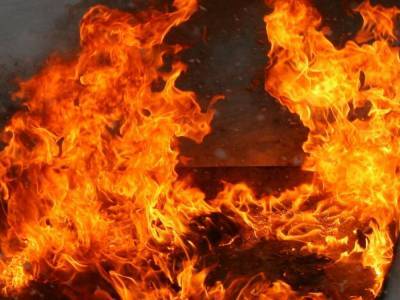 Под Киевом вспыхнул пожар: огонь возле АЗС сопровождается черным дымом