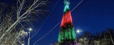 Власти Омска озвучили районы, где могут поставить новогоднюю елку