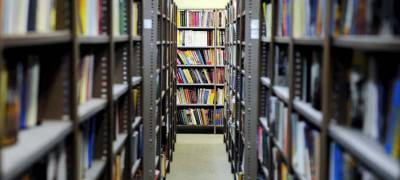 Библиотеки Петрозаводска окажут помощь особым детям