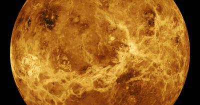 В атмосфере Венеры нашли вероятный признак жизни