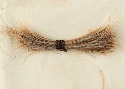 Прядь волос Авраама Линкольна продали на аукционе за 81 тысячу долларов