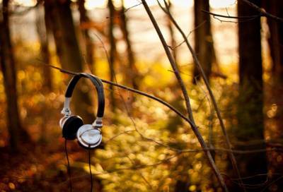 Аудиогиды сопроводят туристов на 5 экомаршрутах в Ленобласти