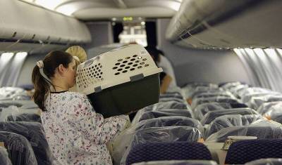 "Аэрофлот" меняет правила перевозки животных на борту самолетов