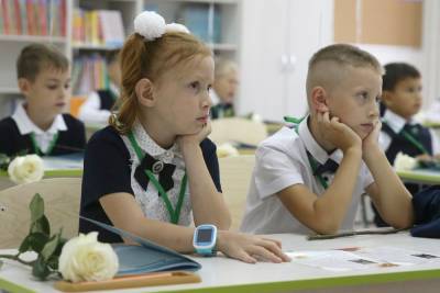 На учебу в дистанционном режиме перешли 3,5 тысячи школьников Ставрополья