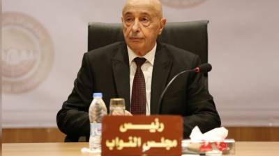 Агила Салех обсудил пути вывода Ливии из кризиса с делегацией из Египта