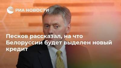 Песков рассказал, на что Белоруссии будет выделен новый кредит