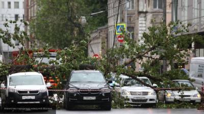 Последствия урагана в Петербурге устранят к 18 сентября
