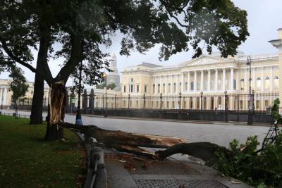 Последствия от урагана в Петербурге будут устранять до 18 сентября