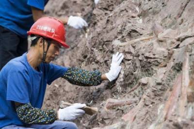 В Китае нашли окаменелости млекопитающих, живших 25 миллионов лет назад