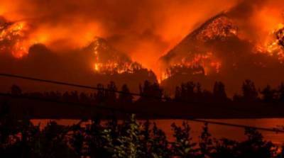 Пожары в США охватили уже более 2 миллионов гектаров территории страны