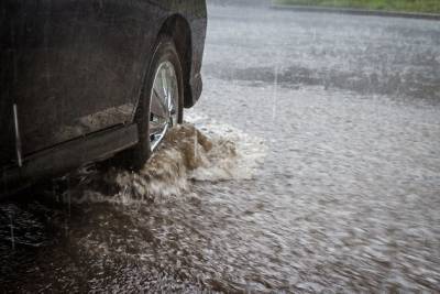 Больше месячной нормы осадков выпало в Чите с дождями за выходные