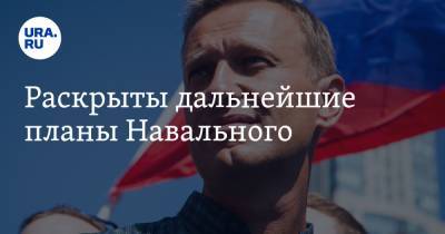 Раскрыты дальнейшие планы Навального