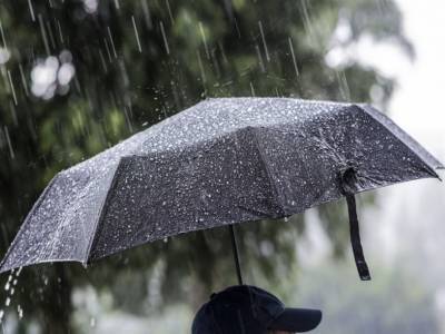 Местами дождь. Погода в Ульяновской области на 15 сентября