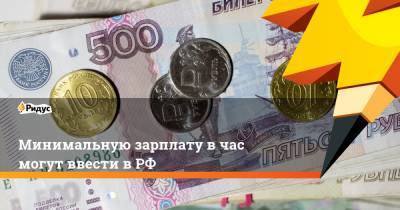 Минимальную зарплату в час могут ввести в РФ