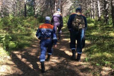 В Хабаровском крае нашли потерявшегося 6 дней назад грибника