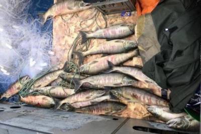 Ещё один рыбак в Хабкрае наловил рыбы на уголовное дело