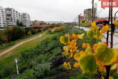 В Коми прогнозируют дождливую и прохладную погоду