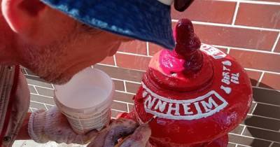 В Калининграде супружеская пара раскрашивает старинные пожарные гидранты и даёт им имена (фото)