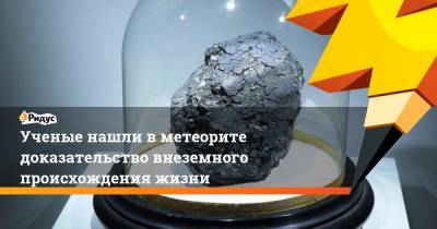 Ученые нашли в метеорите доказательство внеземного происхождения жизни