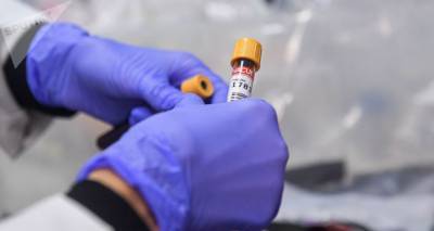 Число выявленных случаев коронавируса в мире превысило 29,4 млн – новые данные