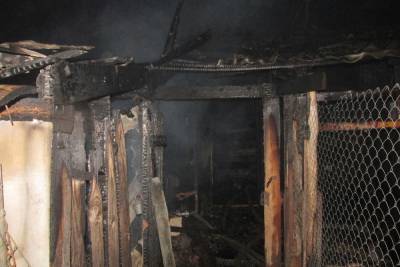 В Починковском районе во время пожара местные жители спасли 20 кур