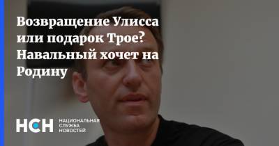 Возвращение Улисса или подарок Трое? Навальный хочет на Родину