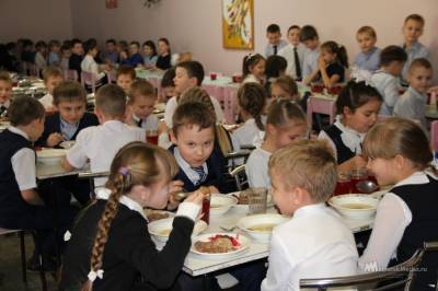 Родителям липецких школьников вернули 13,5 миллиона рублей за питание