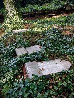 В Польше осквернены надгробные плиты на еврейском кладбище - Cursorinfo: главные новости Израиля