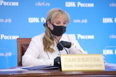Российские политтехнологи указали Элле Памфиловой на плохую работу сайта ЦИК