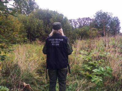 Грибники нашли труп в лесах Тверской области