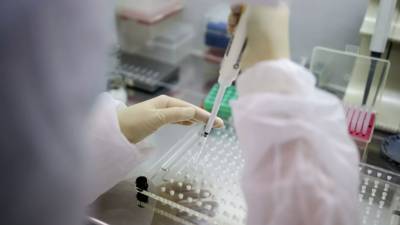 В России за сутки выявлено 5529 новых случаев коронавируса