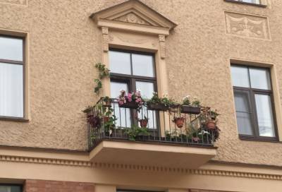 Красивые балконы могут сделать жителей Петербурга уголовниками