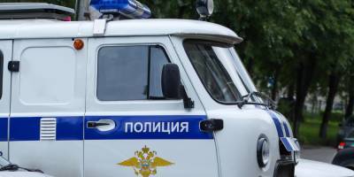 МВД отказалось от планов штрафовать на 100 тысяч рублей за оскорбление полицейских в Сети