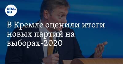 В Кремле оценили итоги новых партий на выборах-2020