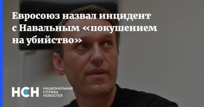 Евросоюз назвал инцидент с Навальным «покушением на убийство»