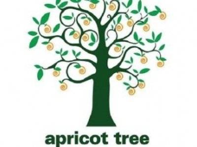 В селе Уджан стартовал Международный фестиваль документального кино «Абрикосовое дерево»