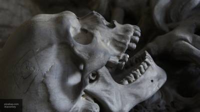 Жительница Ивангорода нашла на стройке ящик с человеческими костями
