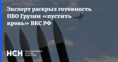 Эксперт раскрыл готовность ПВО Грузии «пустить кровь» ВКС РФ