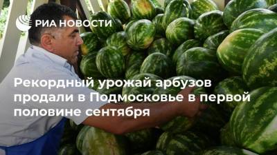 Рекордный урожай арбузов продали в Подмосковье в первой половине сентября