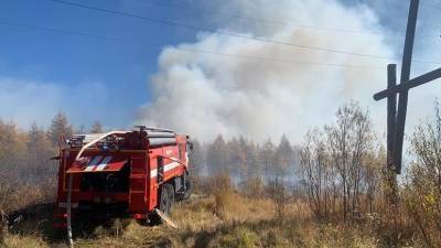В Магаданской области рассказали о крупном пожаре площадью 50 га